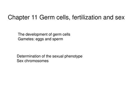 PPT Chapter Germ Cells Fertilization And Sex PowerPoint Presentation ID