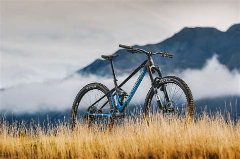 Las 8 Mejores Marcas de Bicicletas de Montaña MTB