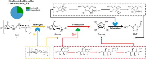 Frontiers Catalytic Conversion Of Starch To 5 Hydroxymethylfurfural