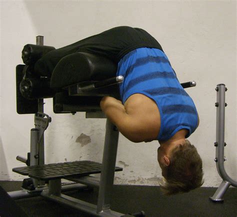 5 Exercises To Strengthen Your Lower Back Muscles
