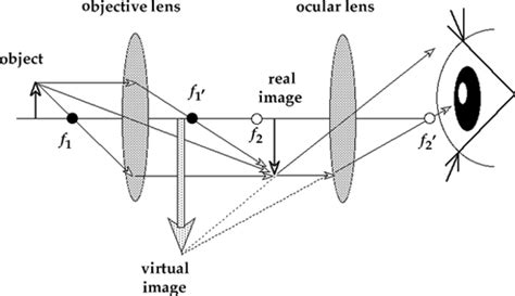 Compound Microscope Ray Diagram