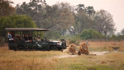 Best Time To Visit Botswana Botswana Safari Andbeyond