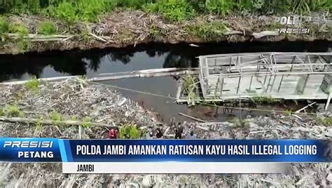 Polda Jambi Amankan Ratusan Kayu Hasil Illegal Logging Video Dailymotion