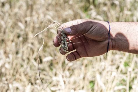 Crisi Senza Precedenti Paese Alle Prese Con L Inflazione Arriva Nuova