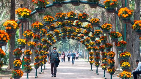 El Festival De Flores Y Jardines Fyja Regresa A Polanco