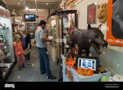 International Cryptozoology Museum Portland Maine Stock Photo Alamy