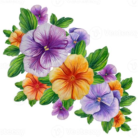 Bouquet Of Colorful Pansies Watercolor Illustration 23234641 PNG