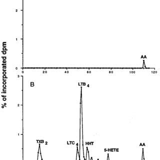 Representative Radioactive Hplc Elution Profiles From Prelabeled Ams