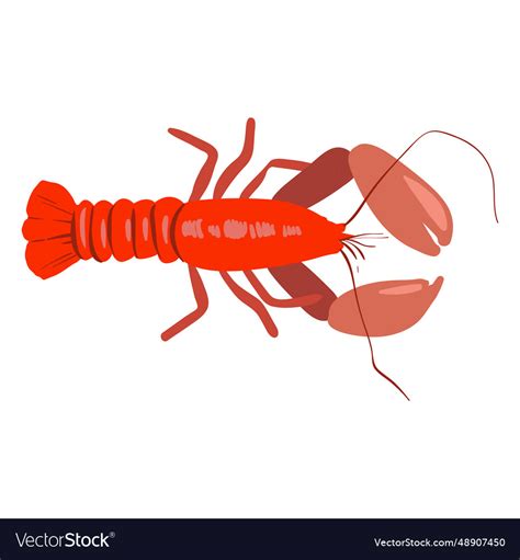 Lobster Sea Animal Royalty Free Vector Image Vectorstock