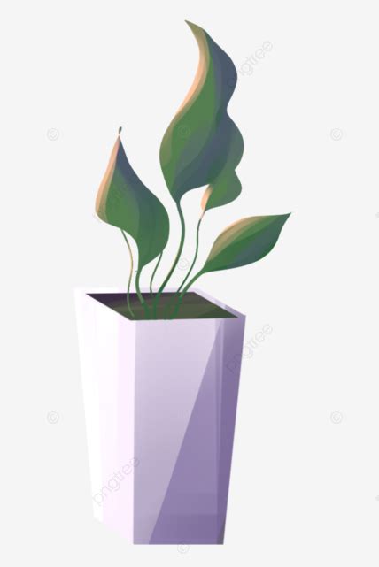 Planta Pelvis PNG Plantas En Macetas Planta Plantas Verdes PNG Y