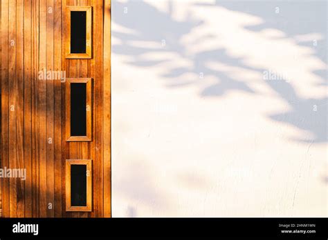 Wooden Door White Wall With Tree Leaves Shadow On Wall Nature Abstract