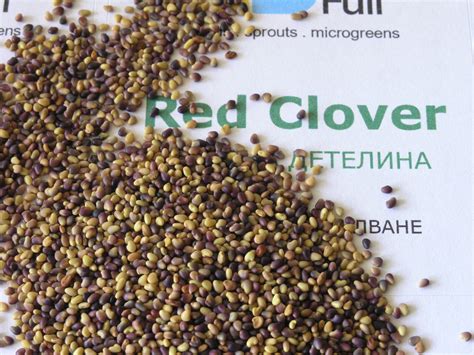 Био семена от червена детелина (Bio Red Clover)