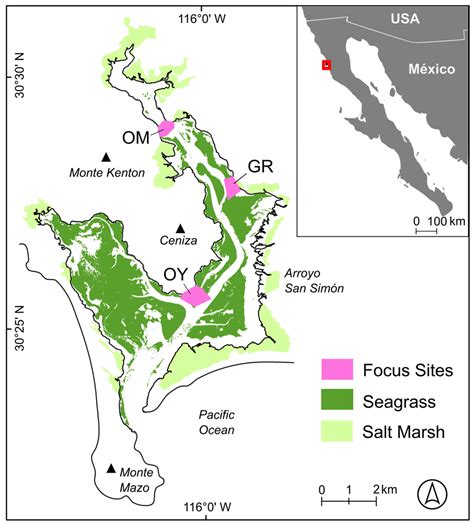 Emerging Sensor Platforms Allow For Seagrass Extent Mapping In A Turbid Estuary And From The