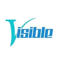 visible technologies intl corp linkedin
