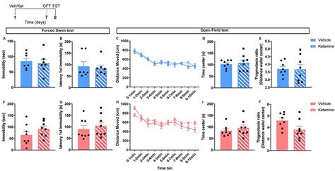 Frontiers Sex Differences In The Sustained Effects Of Ketamine On