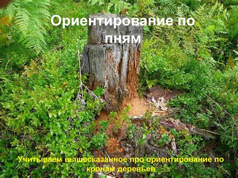 Способы ориентирования на местности - презентация онлайн