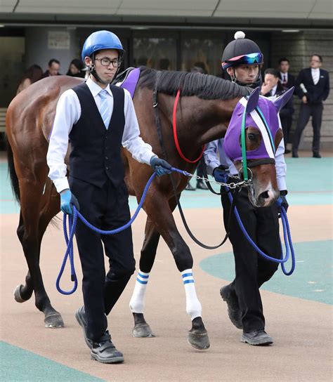 【取材ノート】フェブラリーs挑戦イグナイターに大歓声「その瞬間がたまらなかった」武田厩務員 共通 競馬写真ニュース 日刊スポーツ