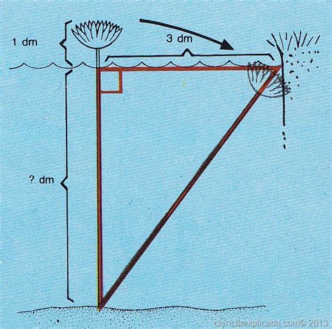 Teorema de Pitágoras y sus aplicaciones - Ciencia Explicada
