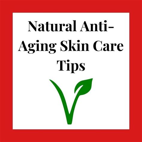 Natural Anti Aging Skin Care Tips Natural Anti Aging Skin Care Best Natural Skin Care