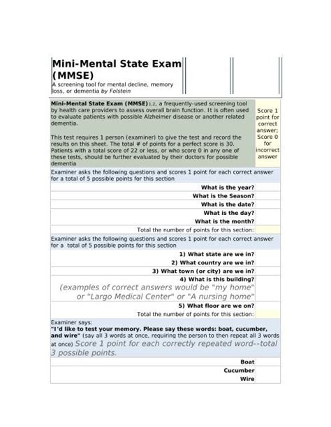 Mini Mental State Examination Mmse