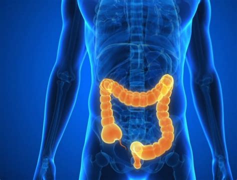 Doen A De Crohn O Que Sintomas Causas Tratamento Alimenta O