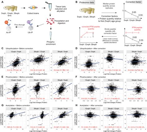 Figure S3 Analysis Of Protein Post Translational Modifications In The Download Scientific