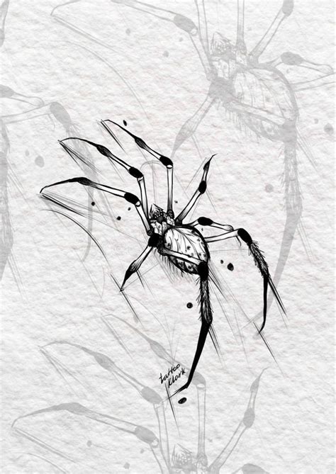 Эскиз паук 🕷