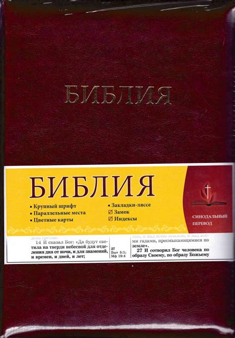 Купить книгу Библия (Коричневая) в интернет магазине, доставка в СПб ...