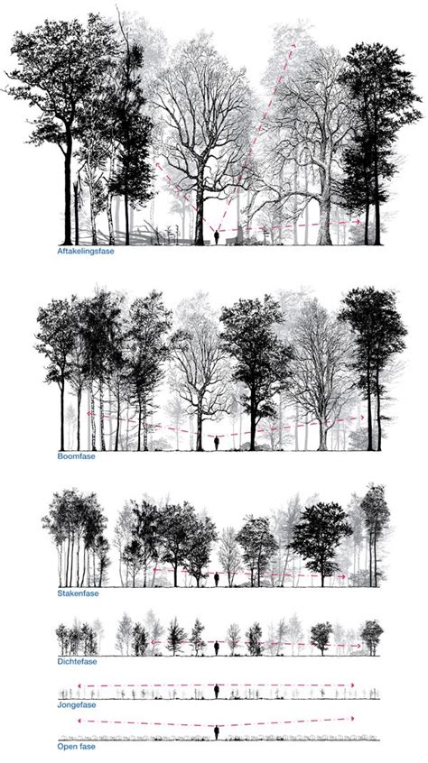 Transformation By Patrick Ruijzenaars Drawingtimenow Bocetos