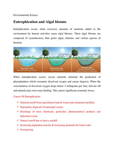 Eutrophication And Algal Blooms Environmental Science Eutrophication