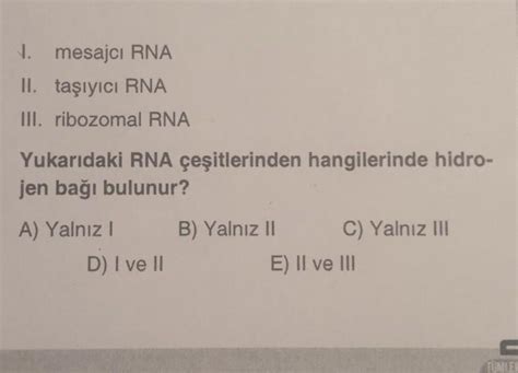 3 1 mesajcı RNA II taşıyıcı RNA III ribozomal RNA Yukarıdaki RNA