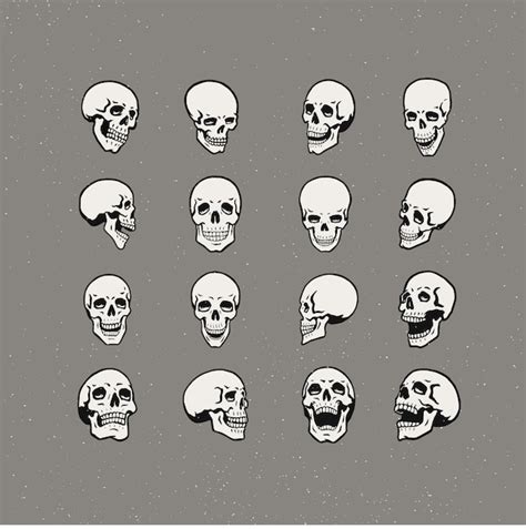 Premium Vector Skull Set Vintage Illustration