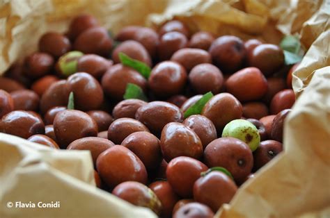 Giuggiole Frutto Propriet E Come Si Mangiano Flaviaconidi