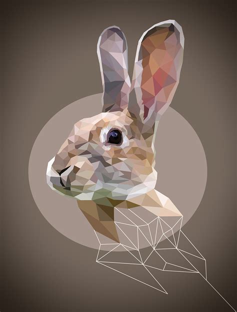 Triangle Animal on Behance