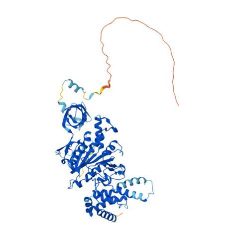 RCSB PDB AF AFP08428F1 Computed Structure Model Of ATP Synthase