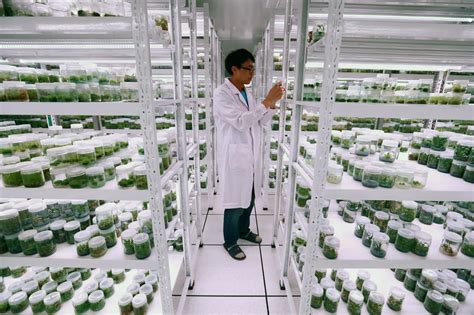 Seed Banks Safeguarding Biodiversity A Photo Essay FoodUnfolded