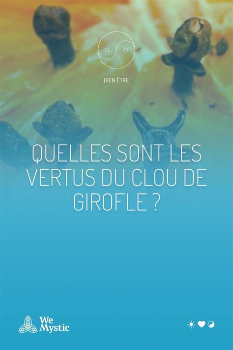 Quelles Sont Les Vertus Du Clou De Girofle Wemystic France Clou