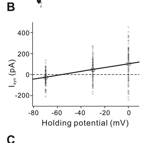 Separation Of Excitatory And Inhibitory Conductances Under Voltage