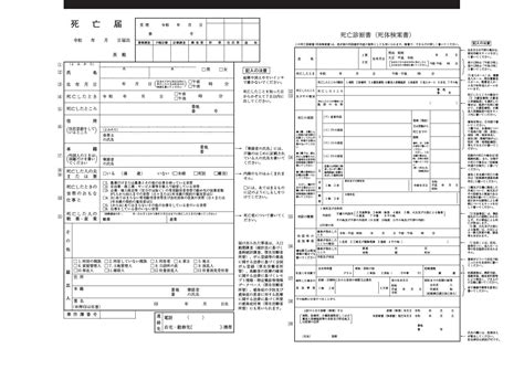 【令和5年4月施行・新様式（死亡診断書）】死亡届 100枚 色刷（黒）