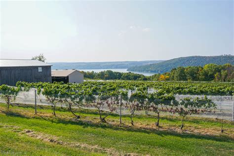 7 Of The Best Finger Lakes Wineries You Must Visit