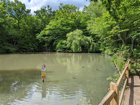 Pond Goffs Park Crawley Robin Webster Geograph Britain And Ireland