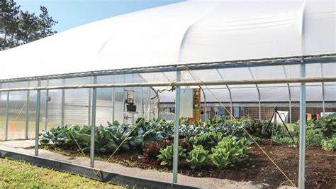 How To Create The Ideal Ventilation System For Your Greenhouse Greenhouse Grower