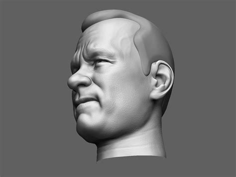 European Male Head Sculpt 3d Model Cgtrader