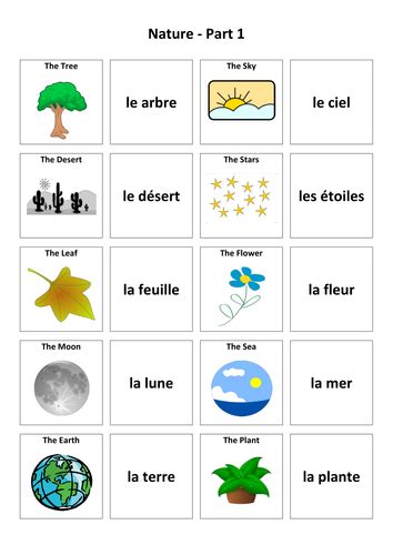 Nature French Vocabulary Card Sort Teaching Resources