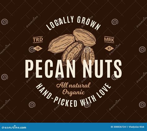 Vector Pecan Nut Logo Stock Vector Illustration Of Plant 308836724