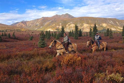 Alaska Guided Mountain Grizzly Hunts - Wrangell Outfitters