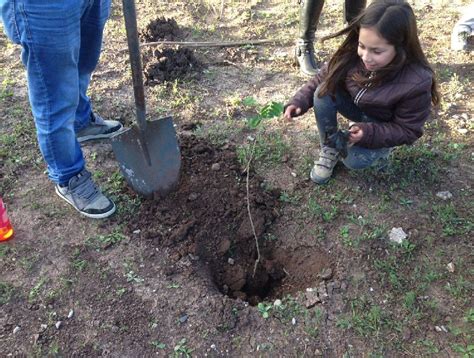 15 nuevos árboles nativos fueron plantados en el Bioparque del Museo de