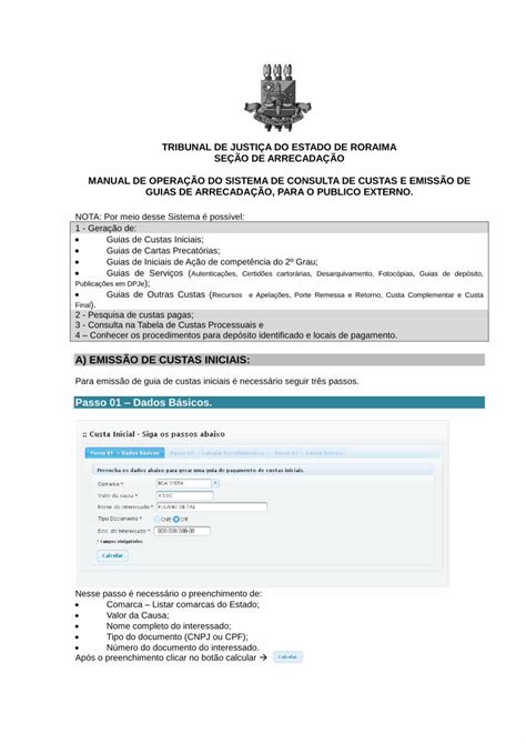 Pdf A Emiss O De Custas Iniciais Passo Dados B Sicos