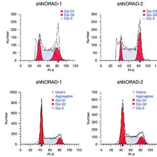 Norad Silencing Leads To G M Cell Cycle Arrest In Gc Flow Cytometric