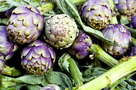 15 Proven Health Benefits Of Artichokes Health Tips